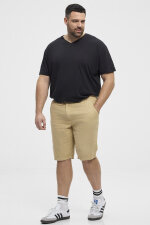 North - Shorts